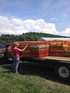 Polyface Farm Summer Internship: Week Two Image